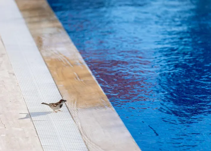 N Cesme Hotell Dalyankoy (Aegean)